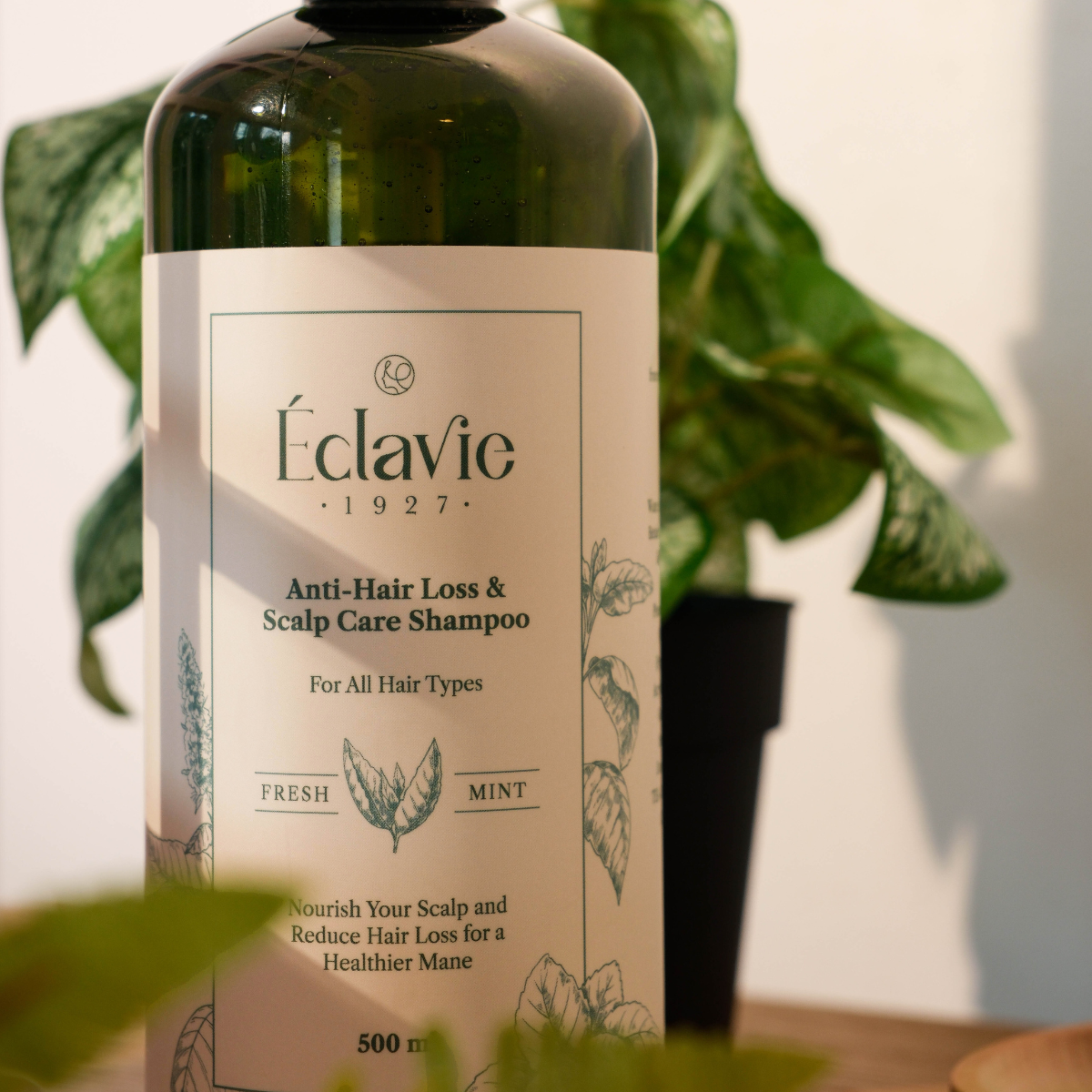 Set C - Anti-Loss & Growth Booster