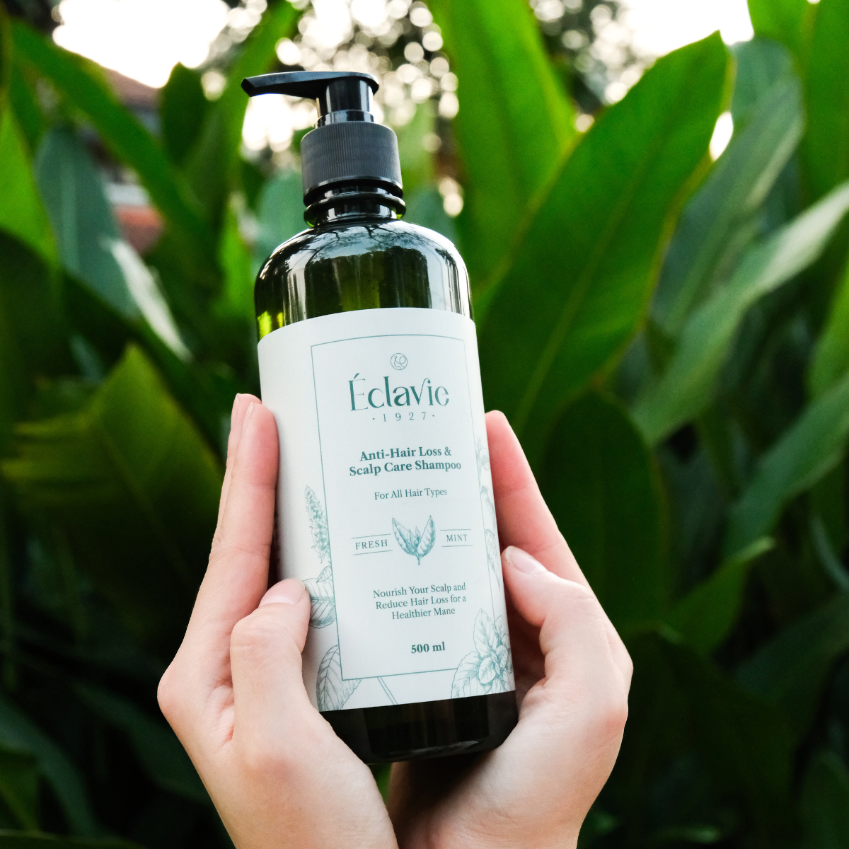 Set C - Anti-Loss & Growth Booster