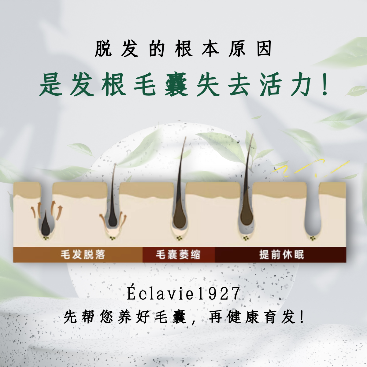 Set C - Anti-Loss & Growth Booster